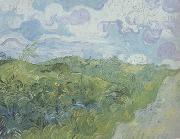 Vincent Van Gogh Green Wheat Fields (nn04) Sweden oil painting artist